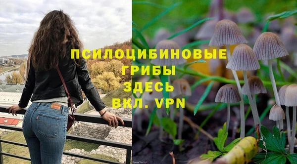 спайс Белокуриха