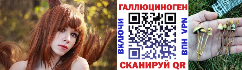 Псилоцибиновые грибы Psilocybine cubensis  цена   Духовщина 